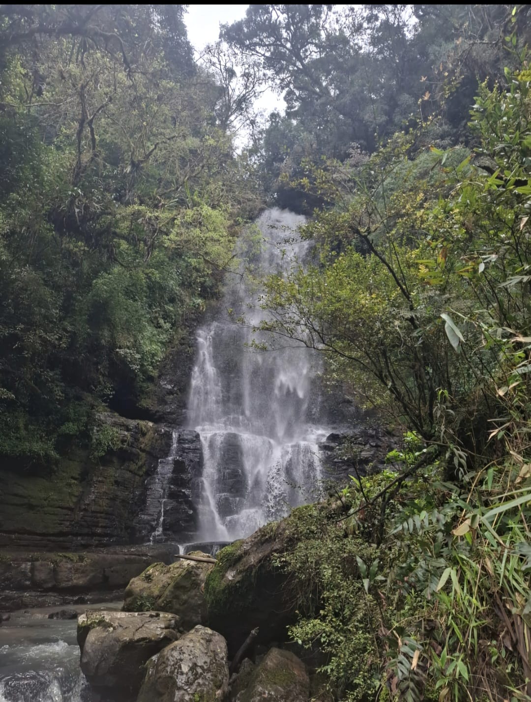 Cachoeira em meio à natureza